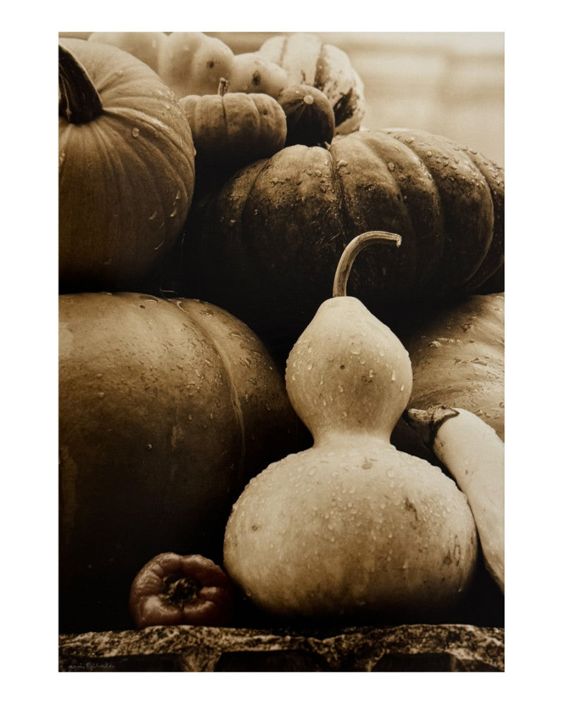 Photo: The vegetables of Villandry