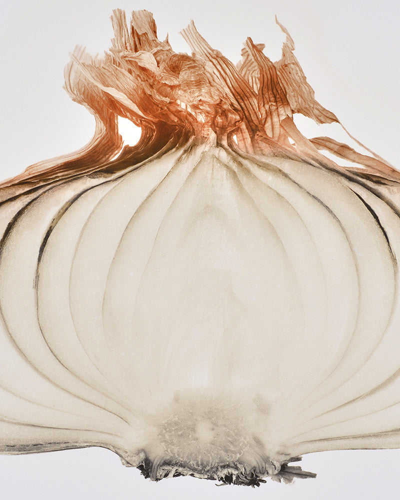 Photo of a sliced onion
