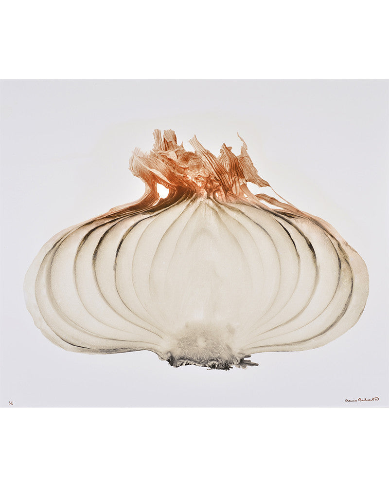 Photo of a sliced onion