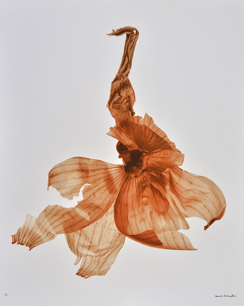 Onion Skin Photo