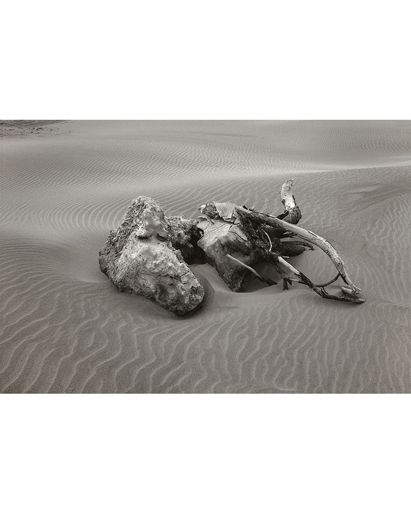 Camargue 02