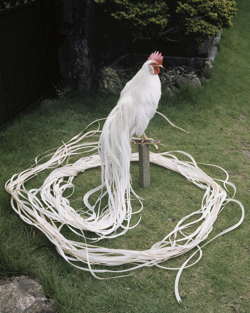 Japan, photography 03