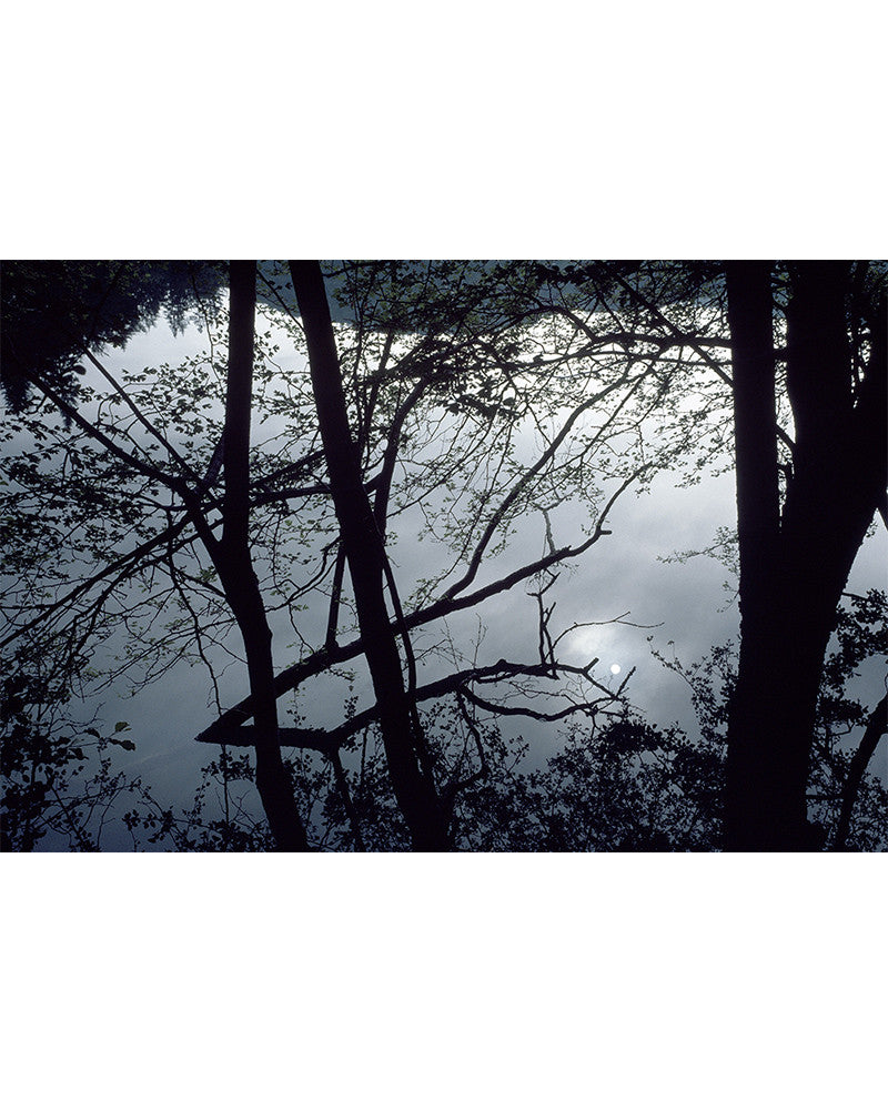 Full moon photo over the forest