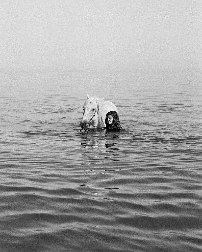 Retrospective - Bath in the Camargue