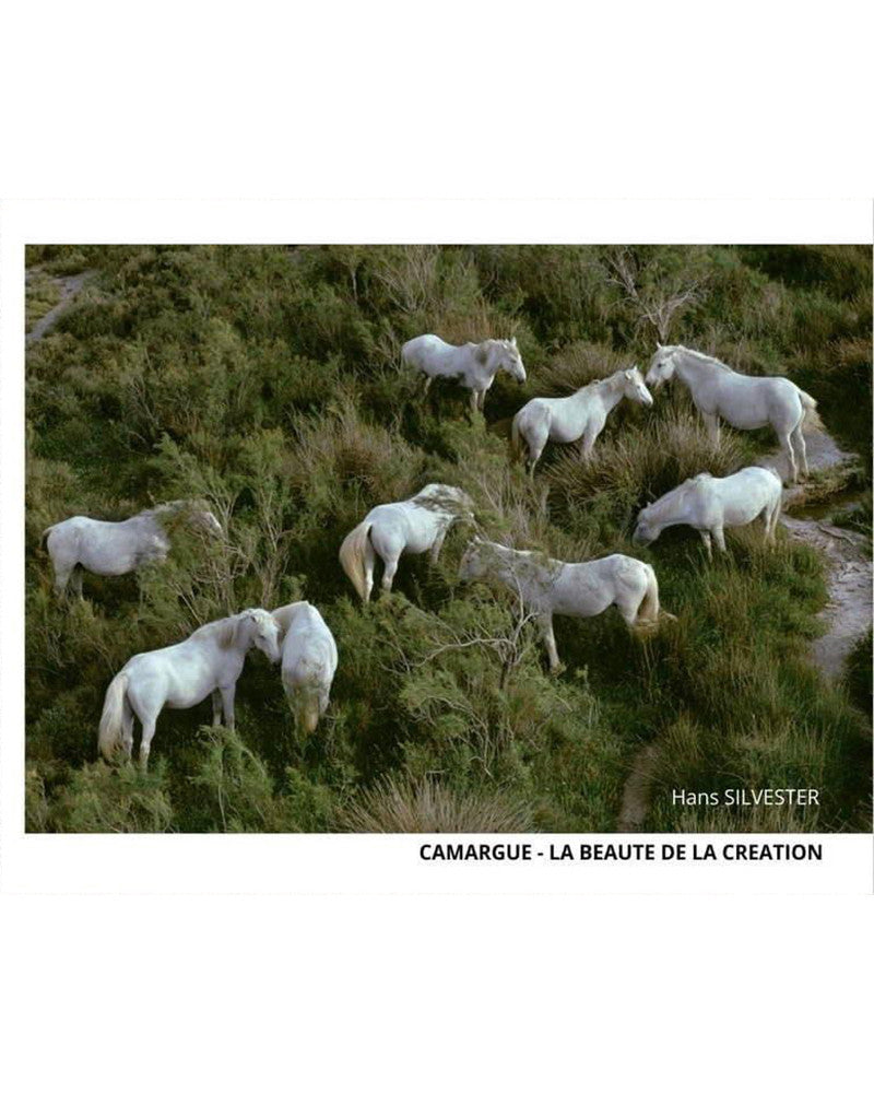 Camargue Trilogy, artist albums