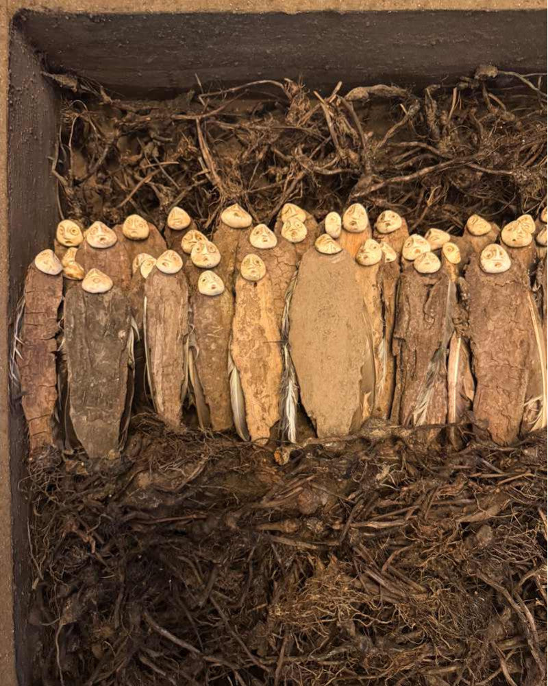 Figures ailées méditant sur la métamorphose du ciel
