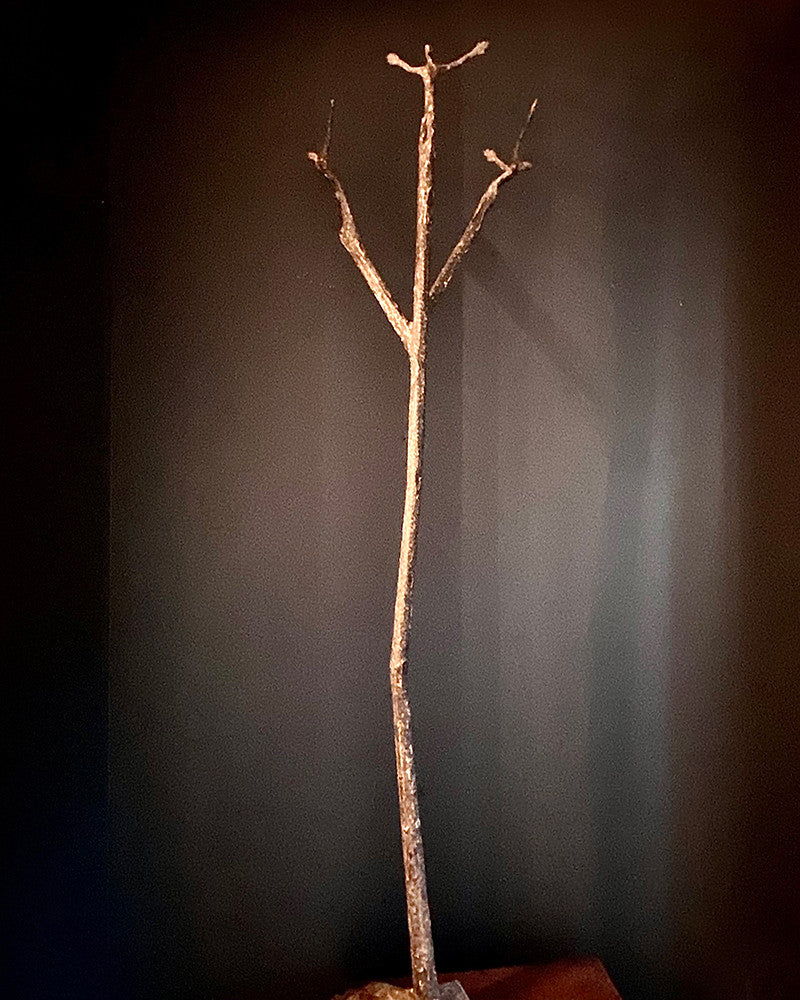 Arbre 3
