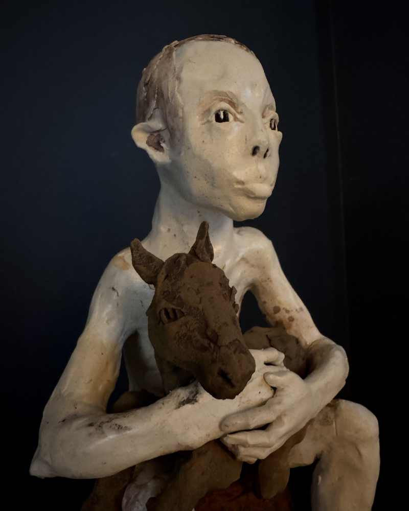 le garçon et le petit cheval