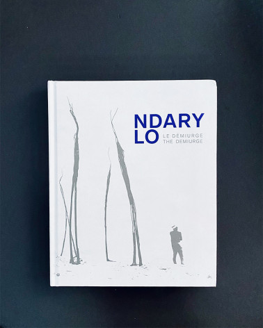 Ndary Lo - Le démiurge, livre