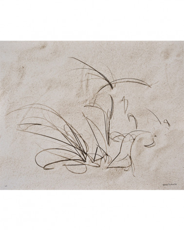 Denis Brihat - Herb on the sand