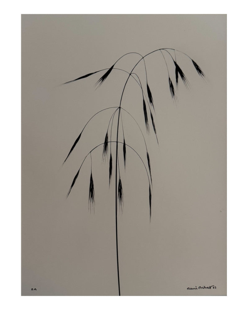Wild Oats Photo 01