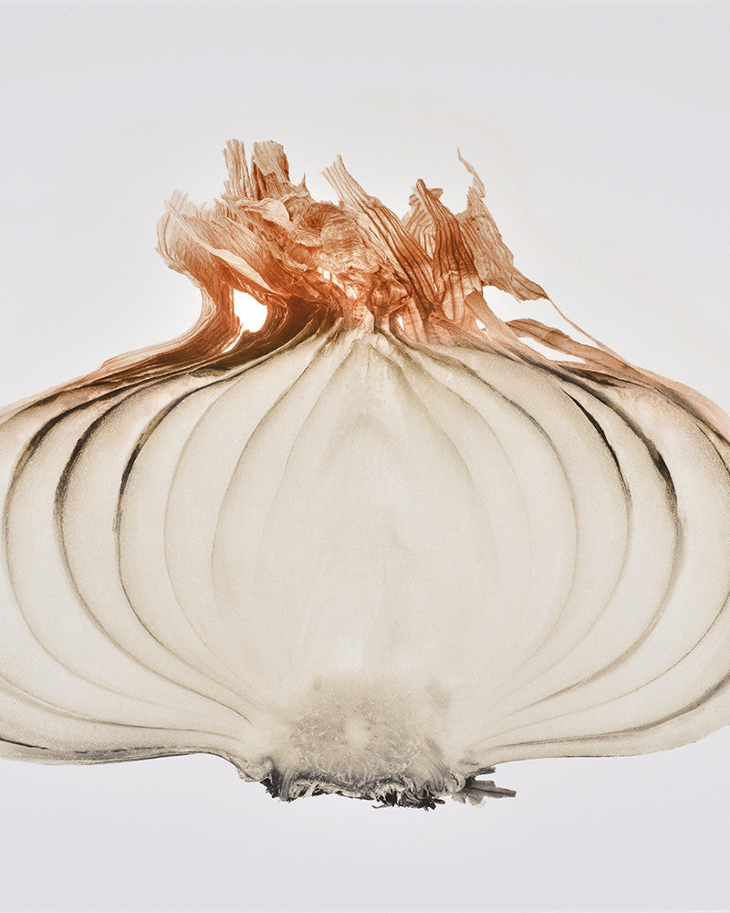 Photo of a sliced onion