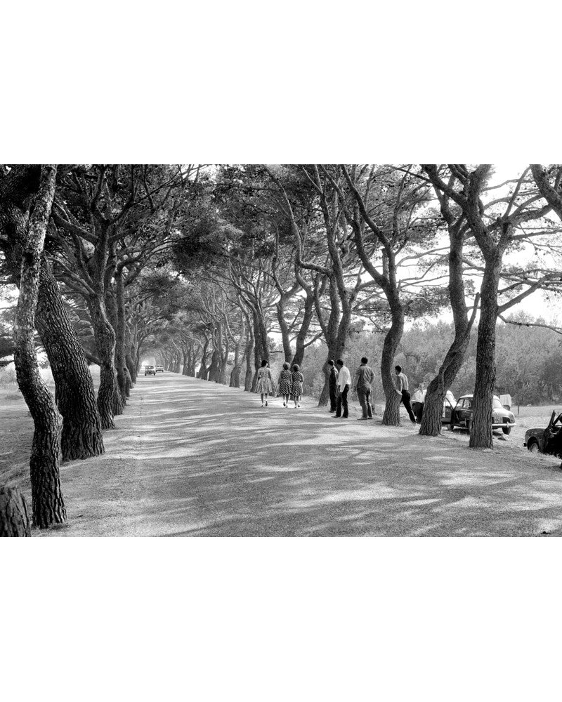 [France, Fos Road] - Hans Silvester, gelatin silver print