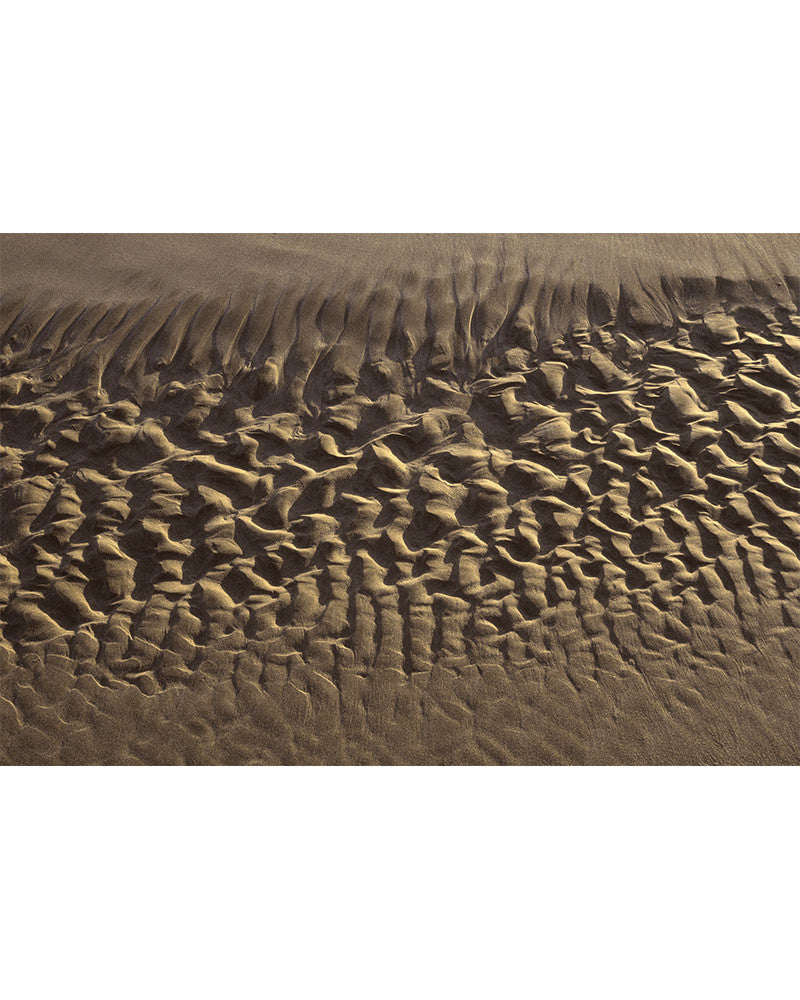 Camargue 01