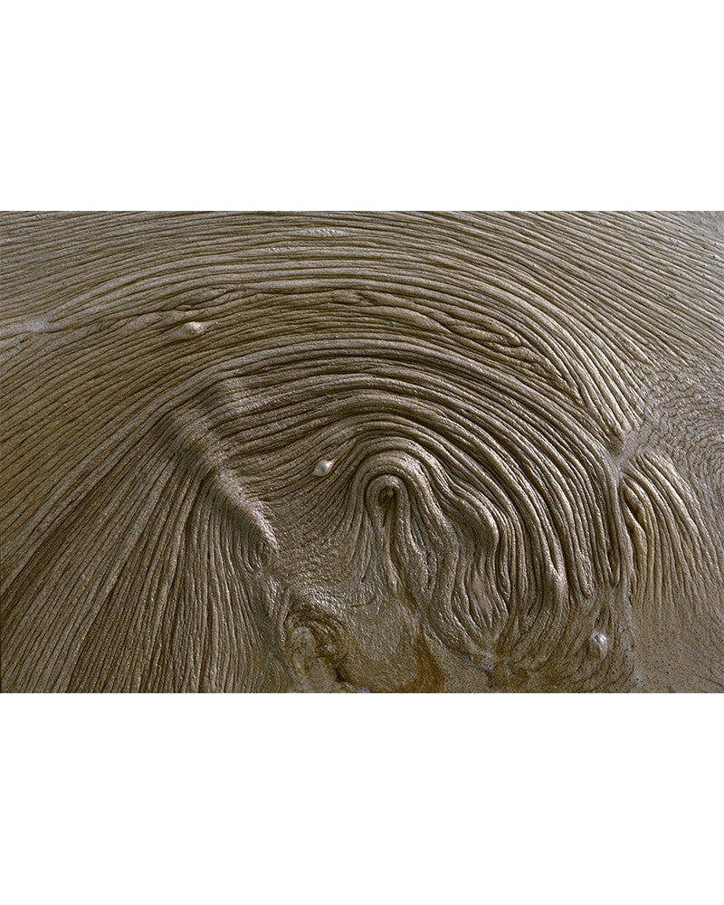 Camargue 06