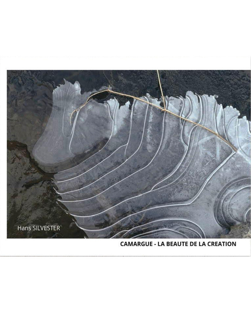Camargue, The beauty of creation, opus 3