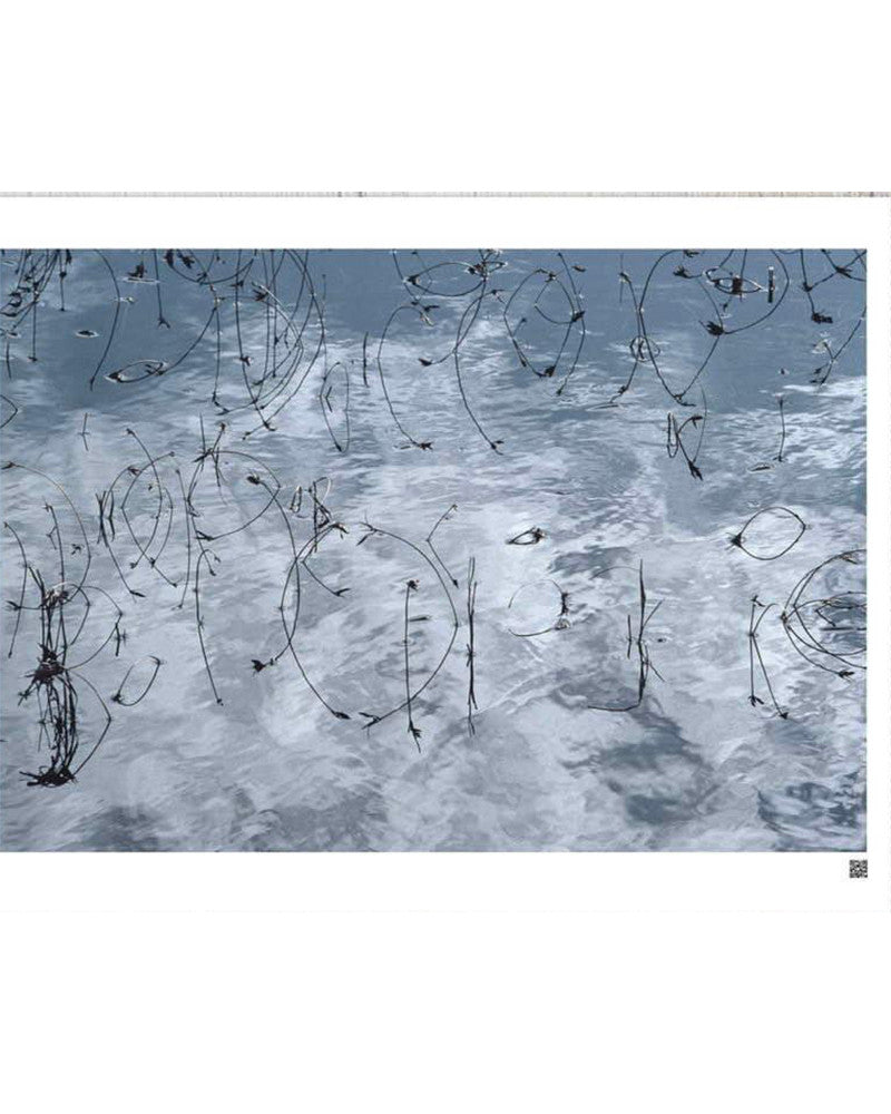 Camargue, The beauty of creation, opus 3