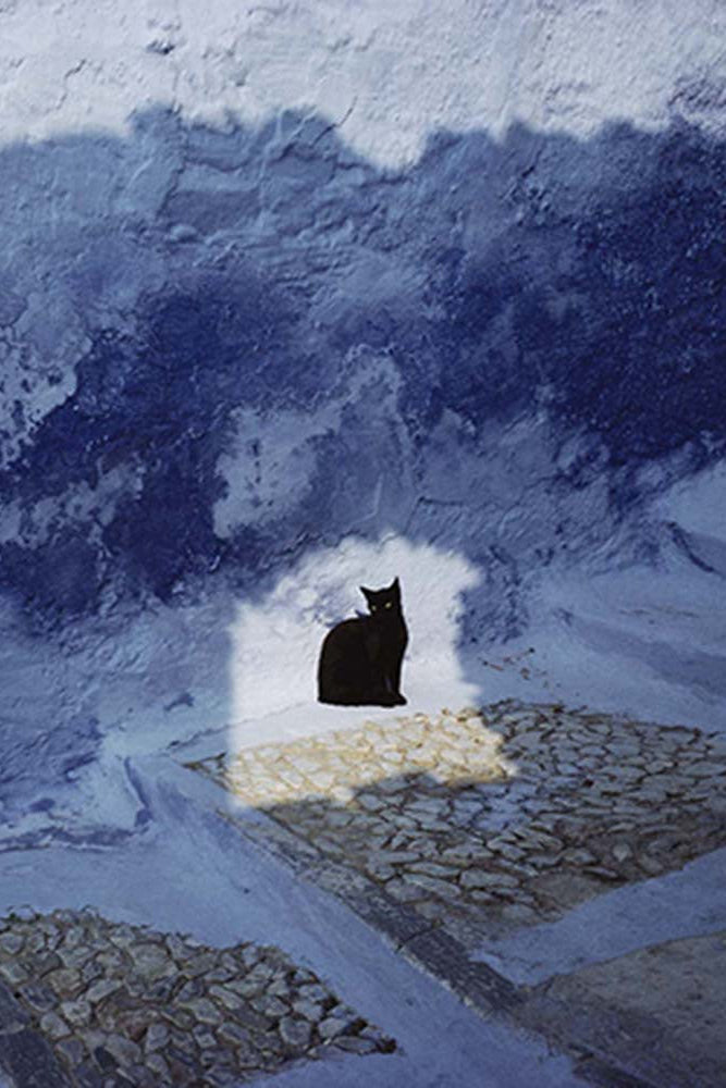 Photographie de Hans Silvester, un chat prend le soleil dans un rayon transperçant une fenêtre