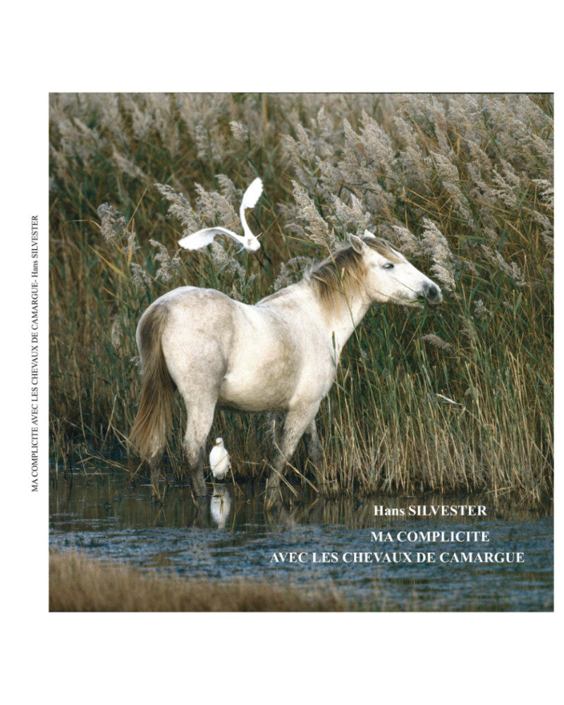 My bond with the Camargue horses