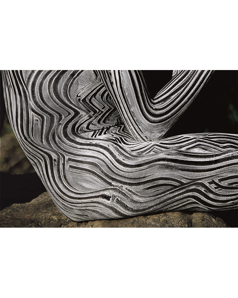 body painting, photo 12