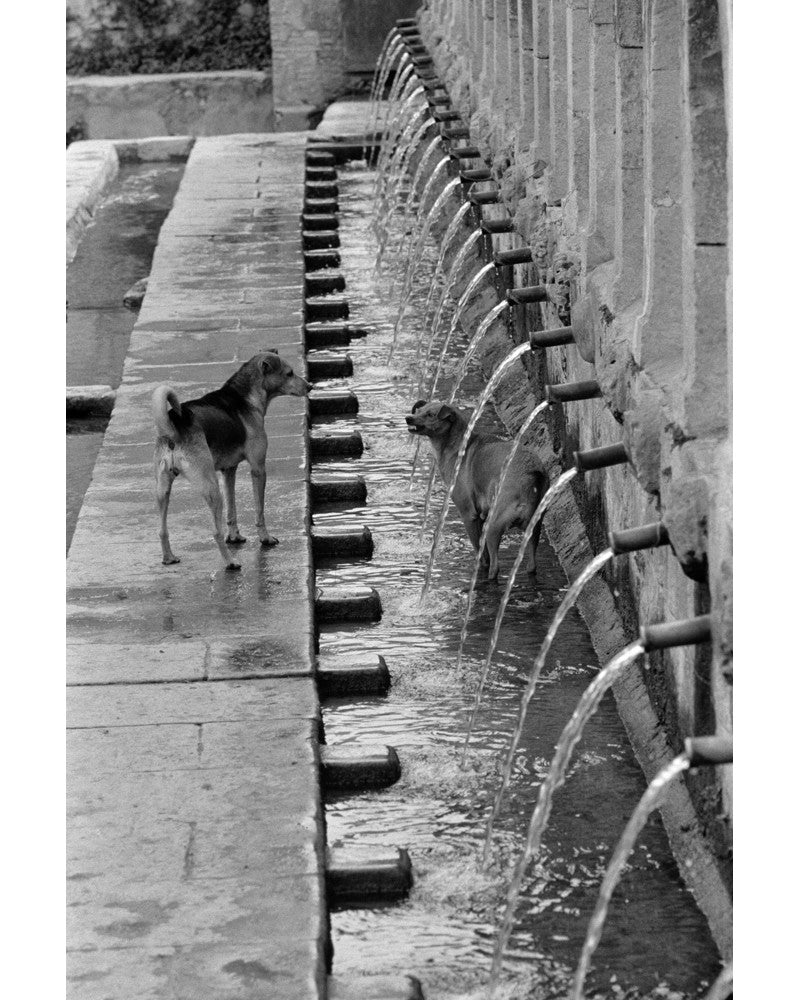 Italie, Fontaine - Tirage argentique