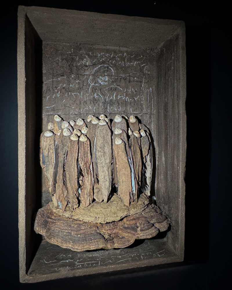 L'Ile des bois corps IV