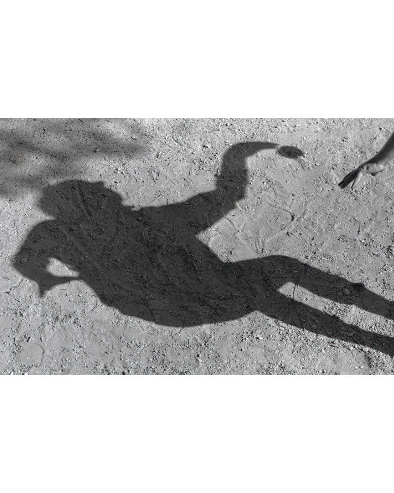 [Shadow Play] - Hans Silvester, silver gelatin print