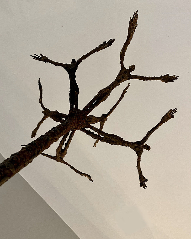 L'Arbre de vie