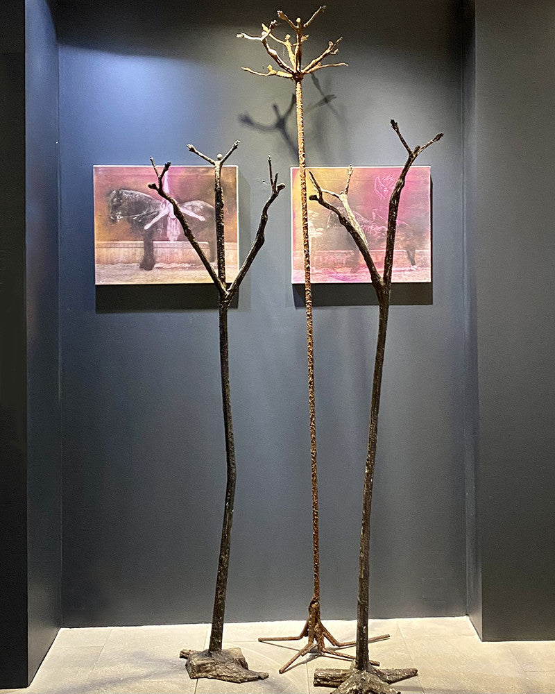 Arbre 3