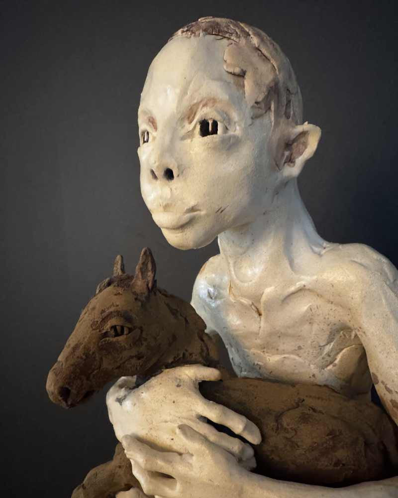 le garçon et le petit cheval