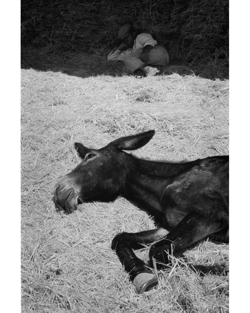 [Siestas] - Hans Silvester, gelatin silver print