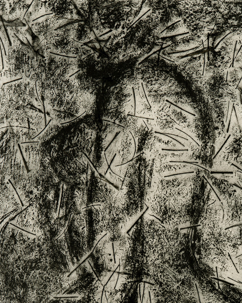 Scarifiée 5