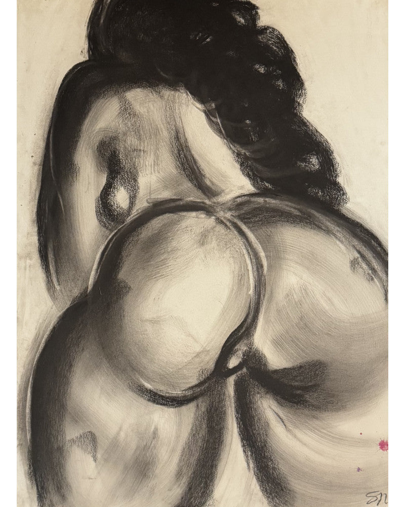 Vénus fusain noir, dos